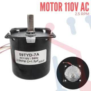 Motor 110V 6RPM
