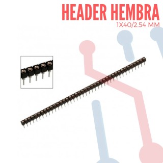 Header hembra 2mm x 40 pines