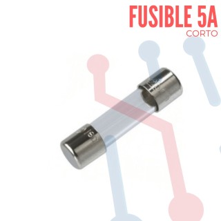Fusible Corto en Vidrio 20x5mm 0.25A