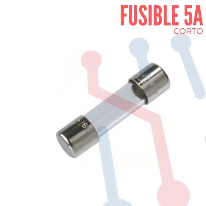 Fusible Corto en Vidrio 20x5mm 0.25A