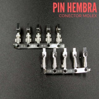 Conector JST-XH-6P macho